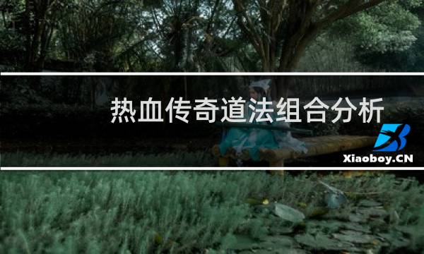热血传奇道法组合分析