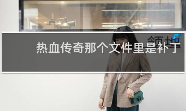 热血传奇那个文件里是补丁