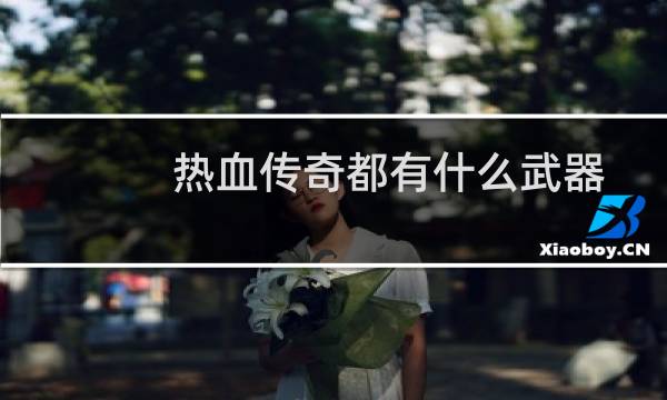 热血传奇都有什么武器
