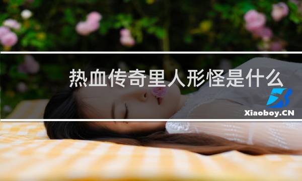 热血传奇里人形怪是什么