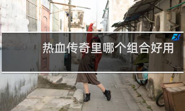 热血传奇里哪个组合好用