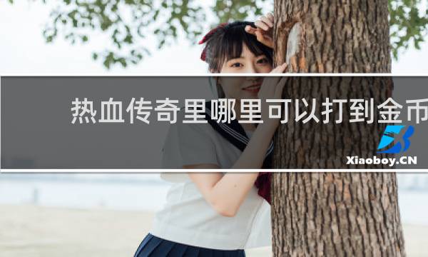 热血传奇里哪里可以打到金币