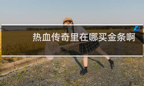 热血传奇里在哪买金条啊