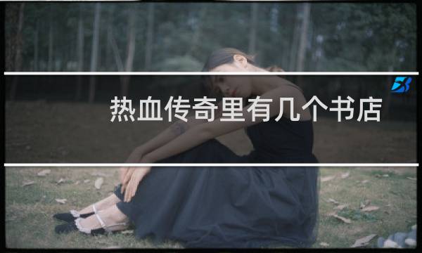 热血传奇里有几个书店