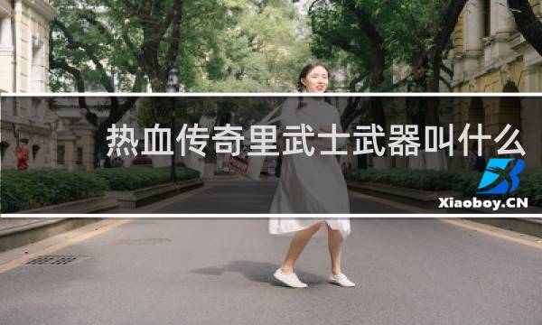 热血传奇里武士武器叫什么