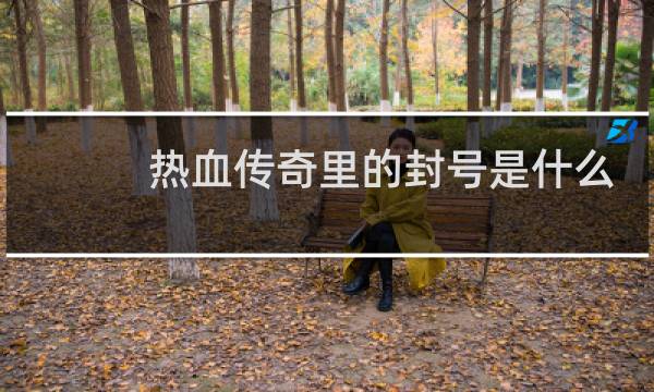 热血传奇里的封号是什么