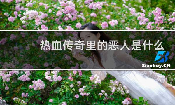 热血传奇里的恶人是什么