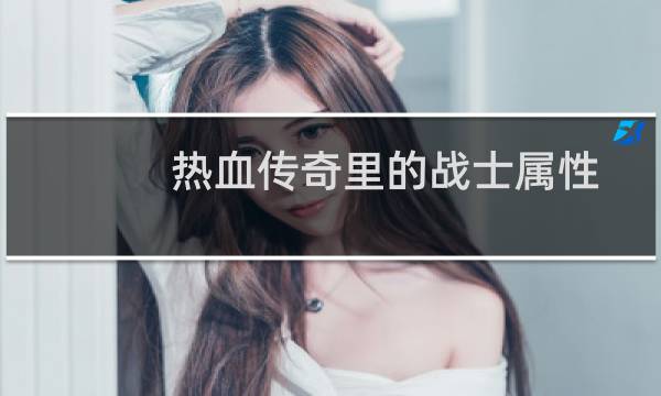 热血传奇里的战士属性