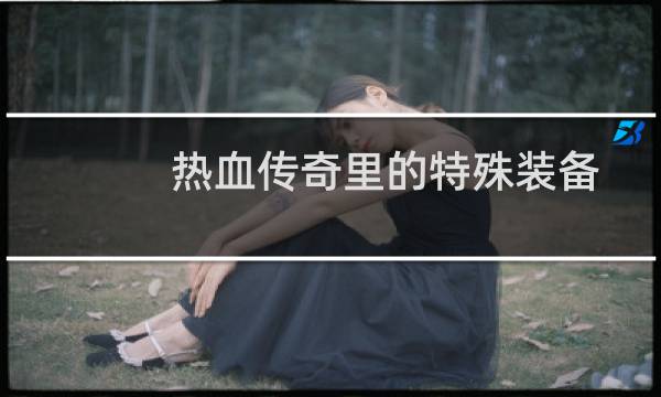 热血传奇里的特殊装备