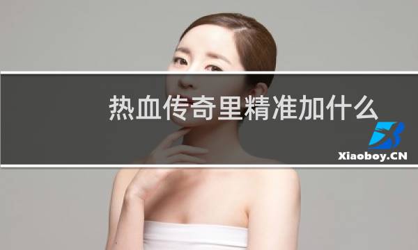 热血传奇里精准加什么