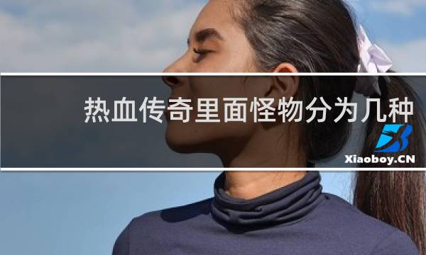 热血传奇里面怪物分为几种