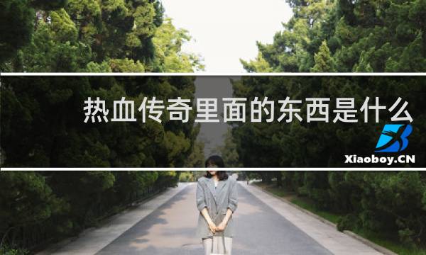 热血传奇里面的东西是什么