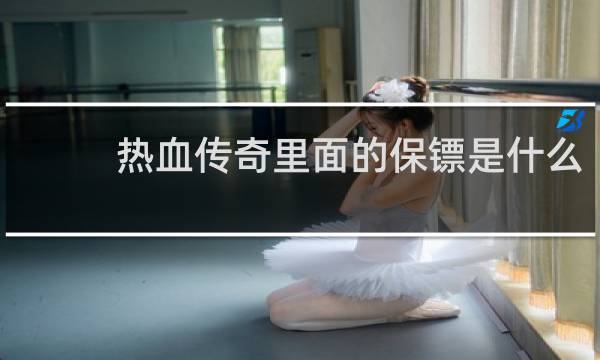 热血传奇里面的保镖是什么