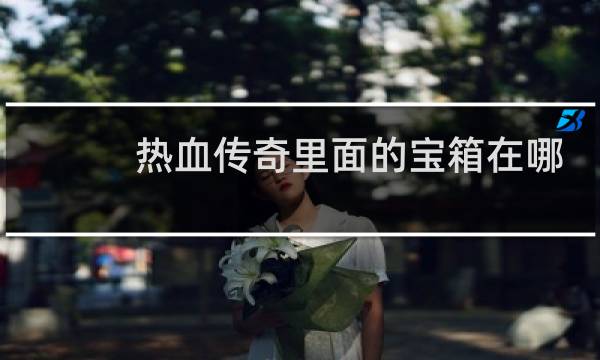 热血传奇里面的宝箱在哪