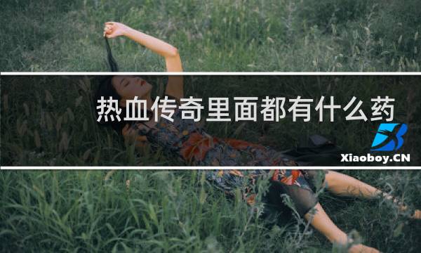 热血传奇里面都有什么药