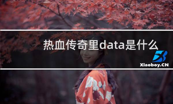 热血传奇里data是什么