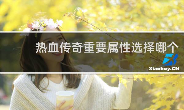 热血传奇重要属性选择哪个