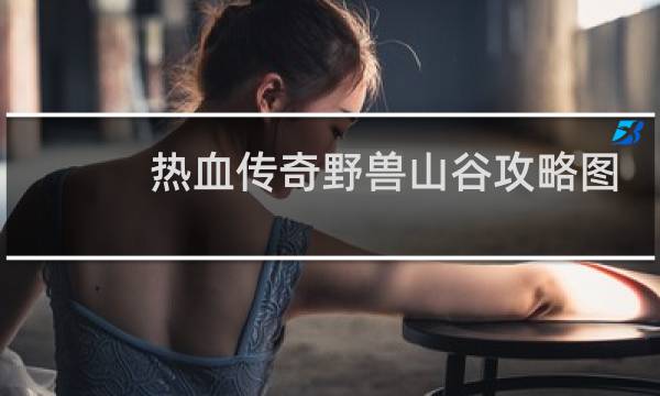 热血传奇野兽山谷攻略图
