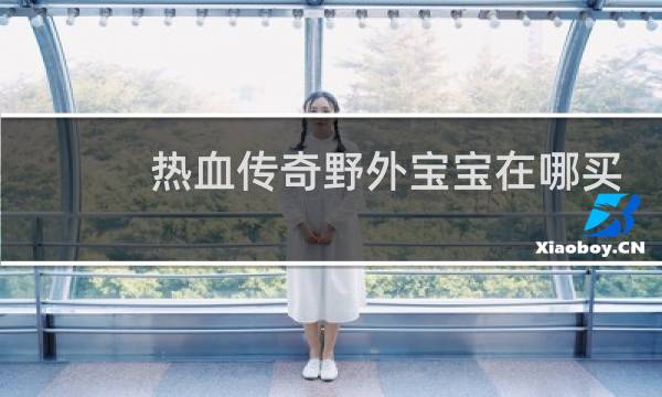 热血传奇野外宝宝在哪买