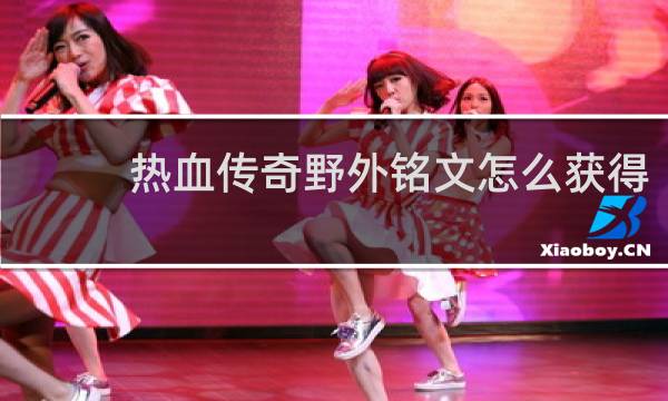 热血传奇野外铭文怎么获得