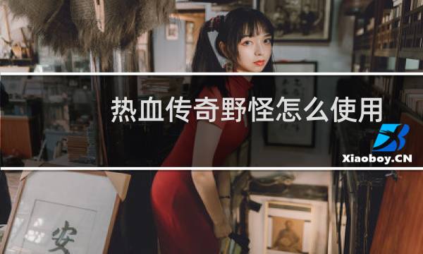 热血传奇野怪怎么使用