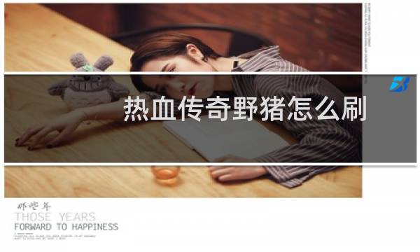 热血传奇野猪怎么刷
