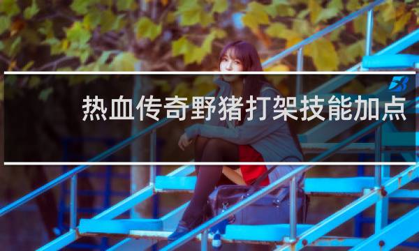 热血传奇野猪打架技能加点