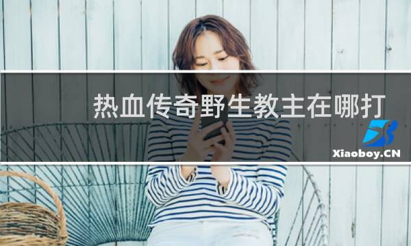 热血传奇野生教主在哪打