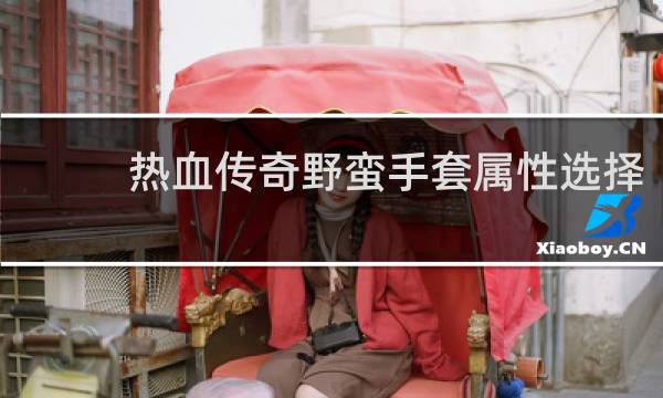 热血传奇野蛮手套属性选择