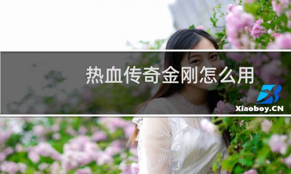 热血传奇金刚怎么用