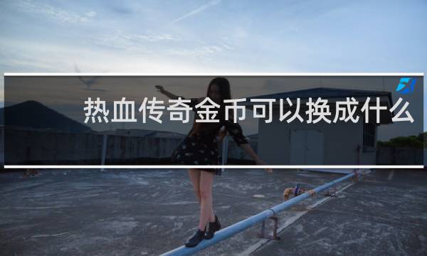 热血传奇金币可以换成什么