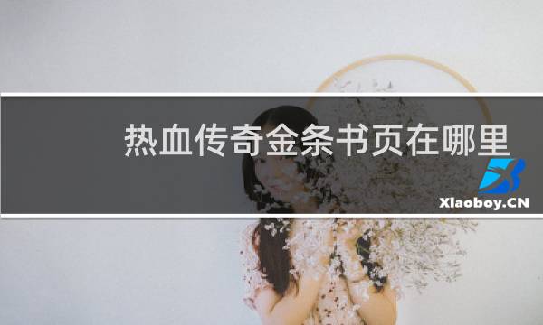 热血传奇金条书页在哪里
