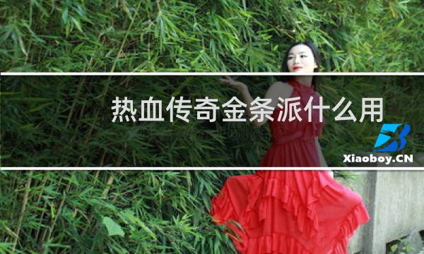 热血传奇金条派什么用