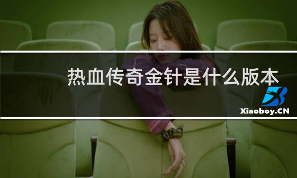 热血传奇金针是什么版本