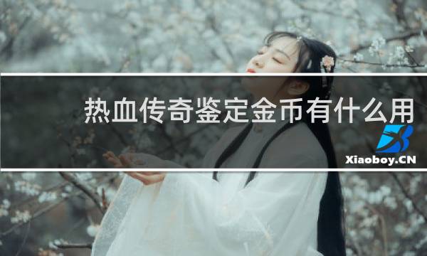 热血传奇鉴定金币有什么用