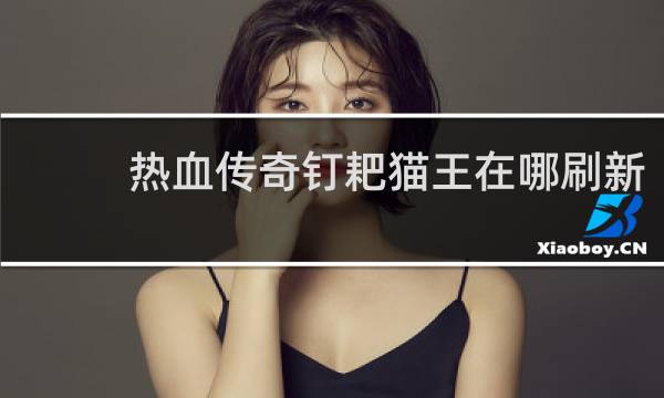 热血传奇钉耙猫王在哪刷新