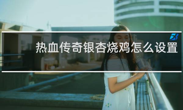 热血传奇银杏烧鸡怎么设置