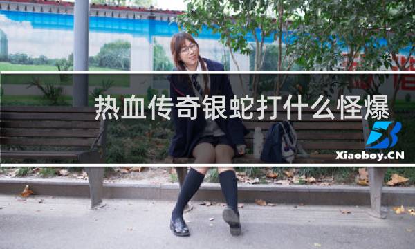 热血传奇银蛇打什么怪爆