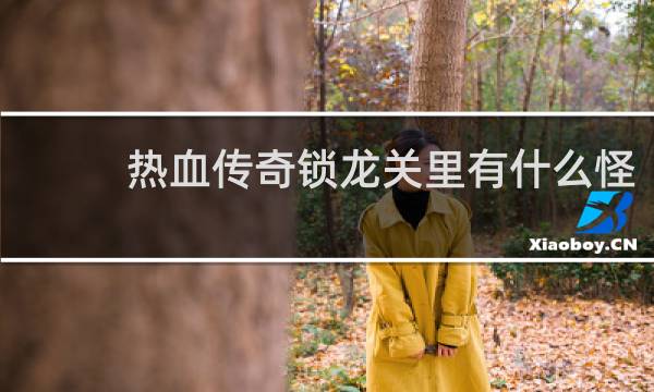 热血传奇锁龙关里有什么怪