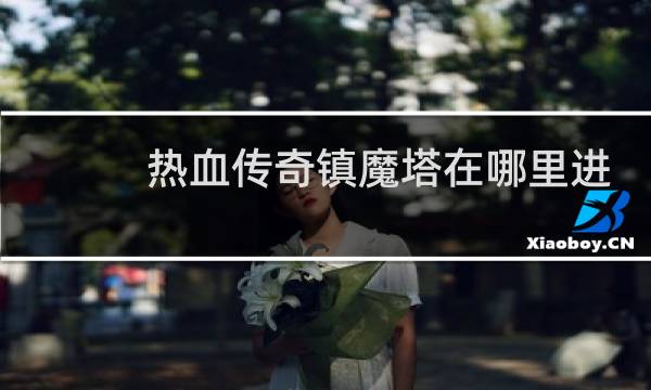 热血传奇镇魔塔在哪里进