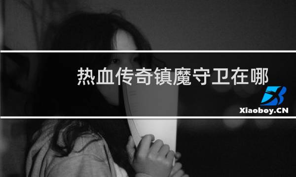 热血传奇镇魔守卫在哪