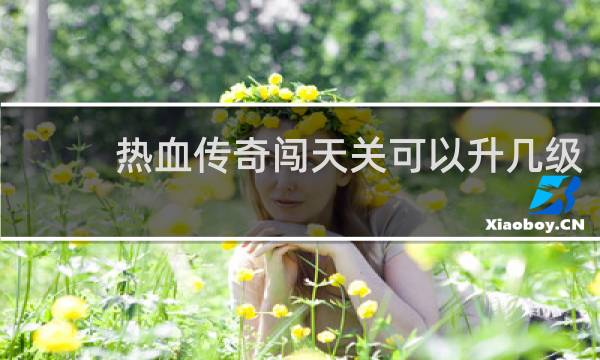 热血传奇闯天关可以升几级