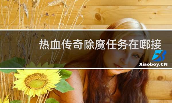 热血传奇除魔任务在哪接