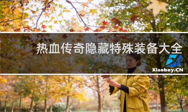 热血传奇隐藏特殊装备大全