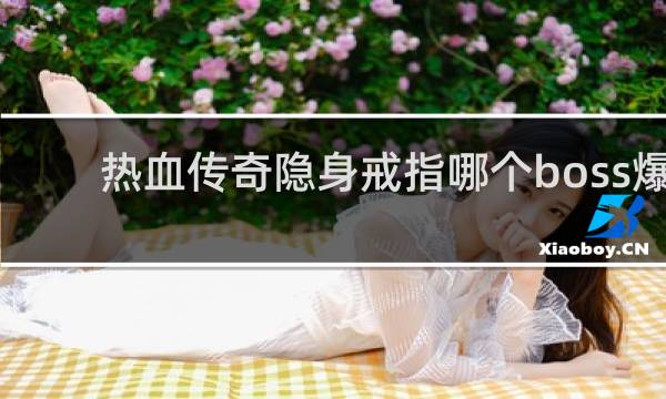 热血传奇隐身戒指哪个boss爆