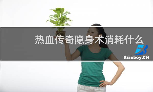 热血传奇隐身术消耗什么