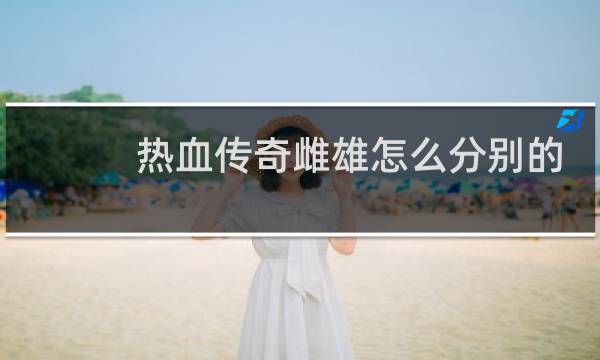 热血传奇雌雄怎么分别的
