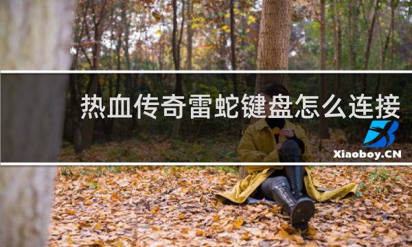 热血传奇雷蛇键盘怎么连接