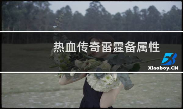 热血传奇雷霆备属性
