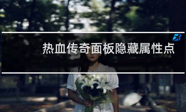 热血传奇面板隐藏属性点